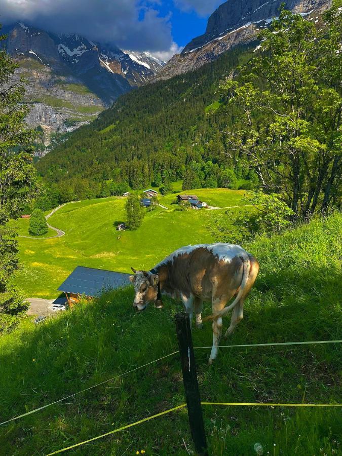 Romantisches Plaetzchen In Der Natur Grindelwald Exterior photo