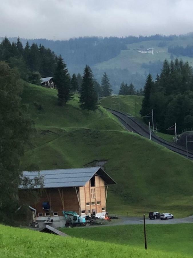 Romantisches Plaetzchen In Der Natur Grindelwald Exterior photo